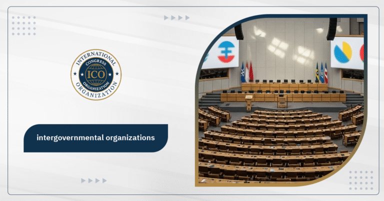 Intergovernmental Organizations: Definition, Types & Roles